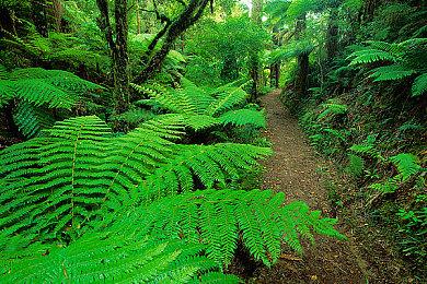 《黑色行动7》BETA公测首日已出现透视和自瞄外挂